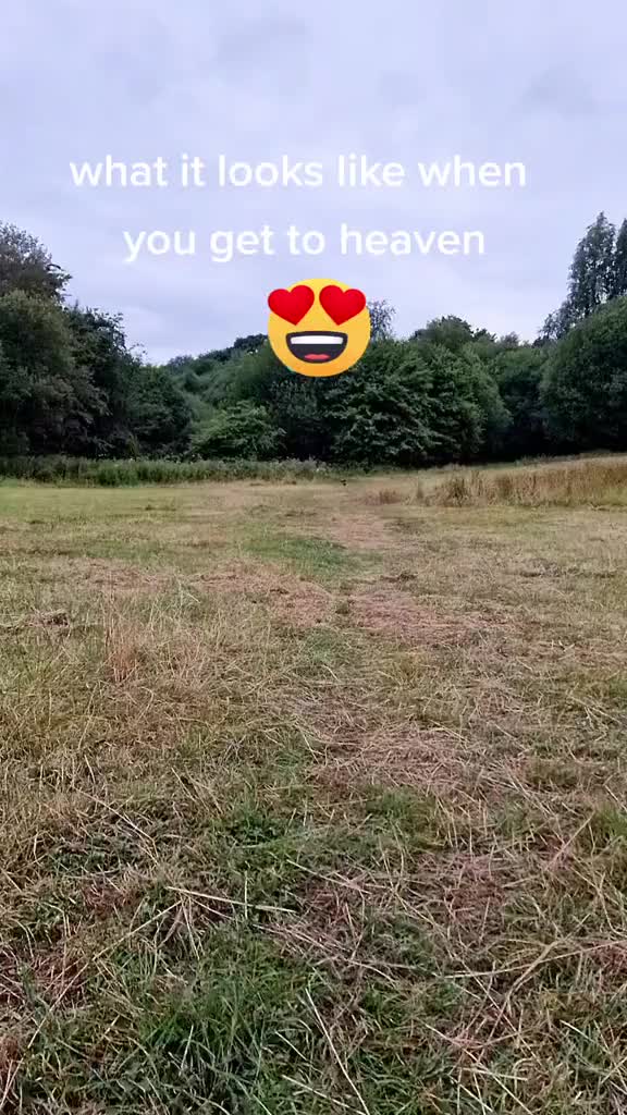 @Paddythefrenchie