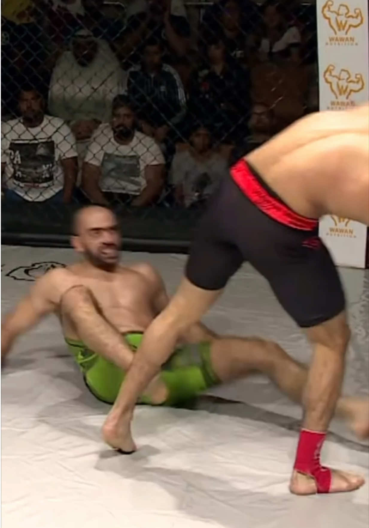 @FightingLab