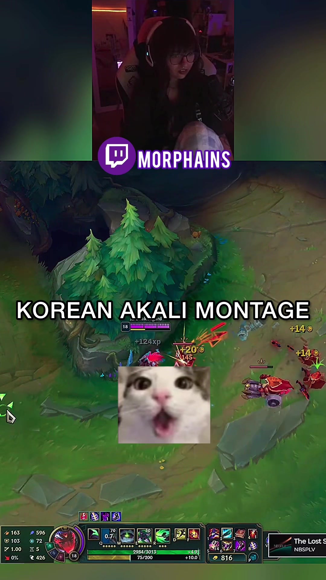 @morphains