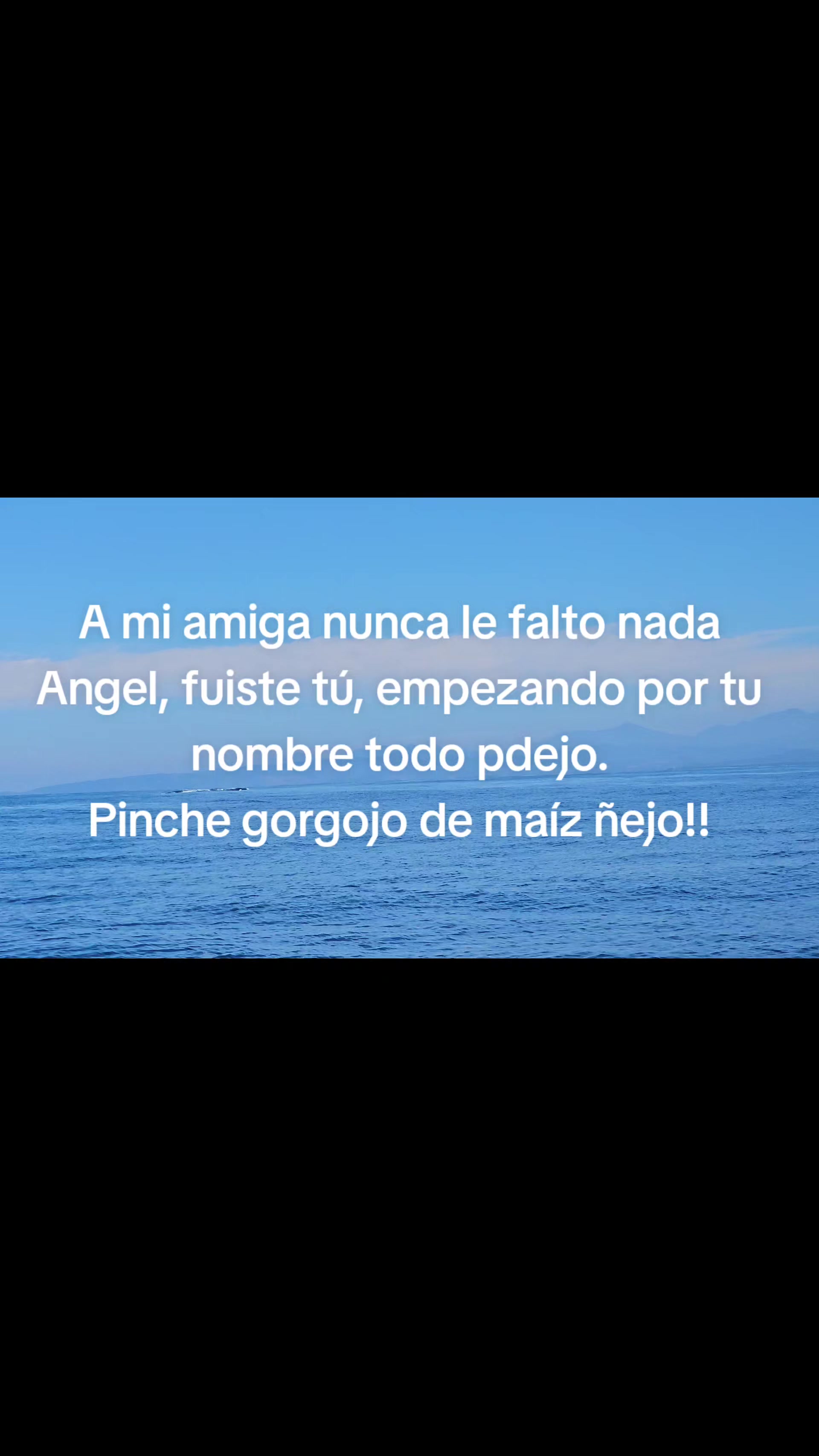 @viri Palomino