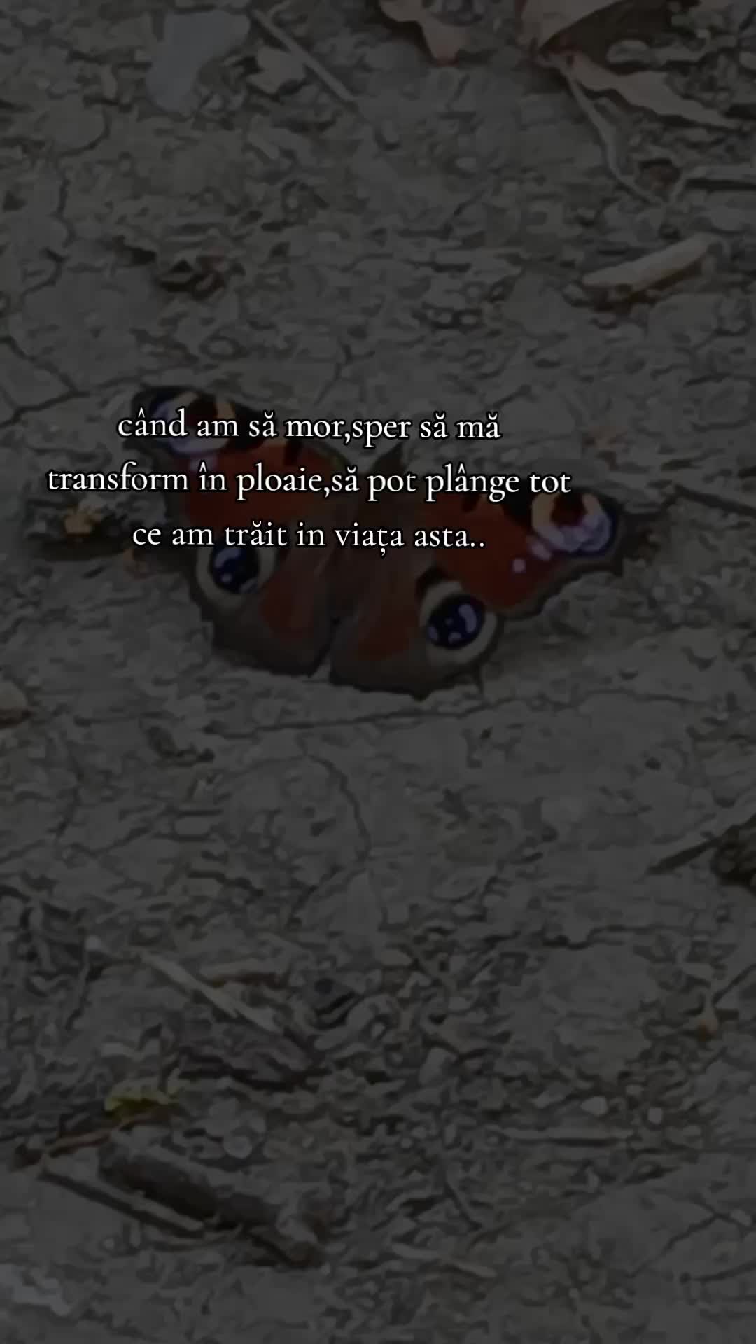 @⚜️Ąĺịɲ⚜️