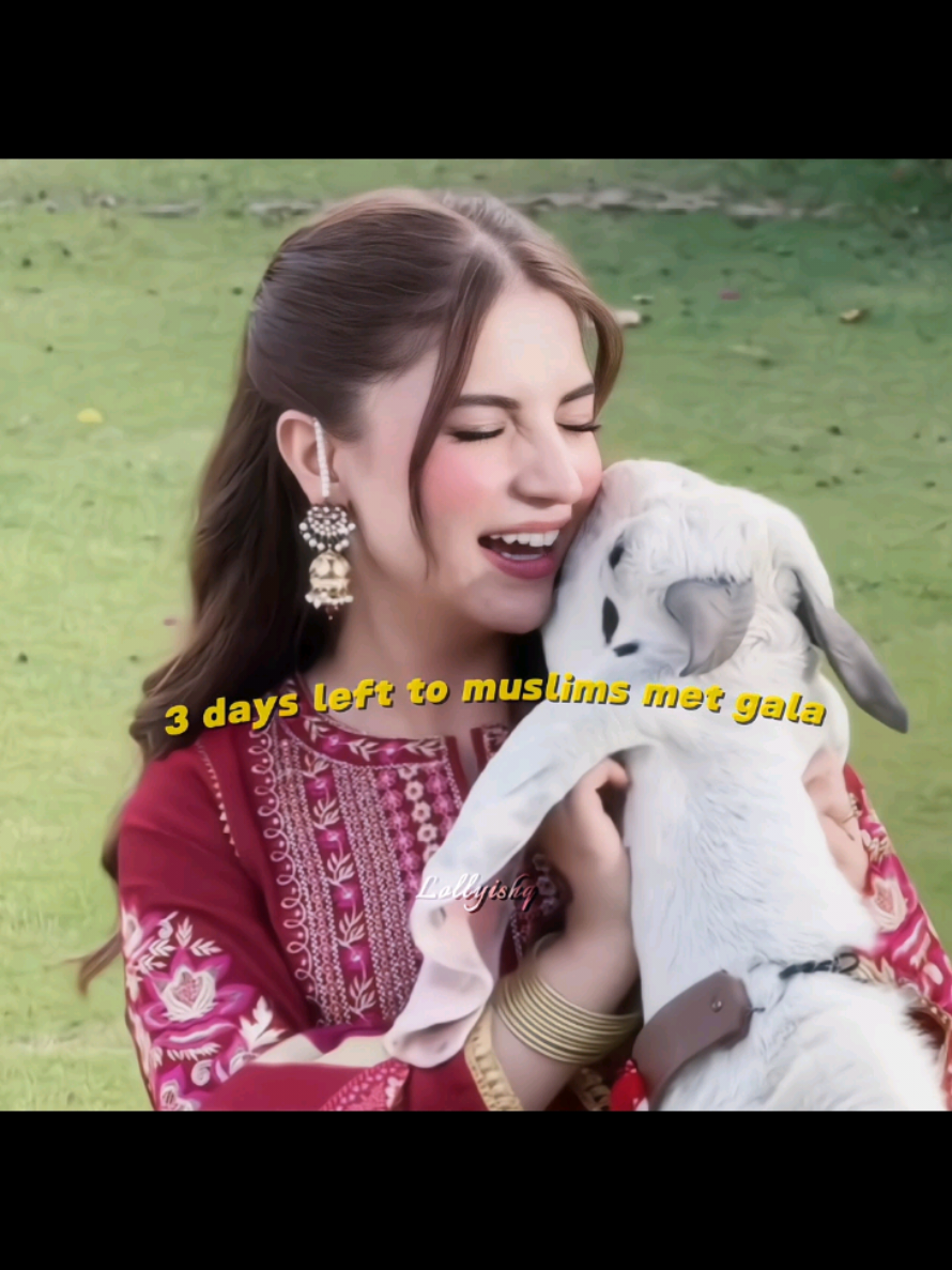 @Lolly ishq🧸💌