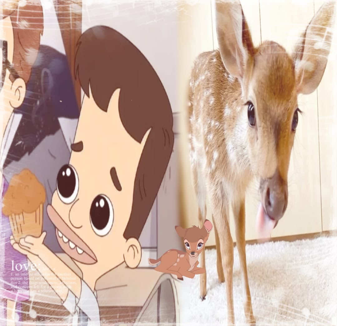 @๐cc๐