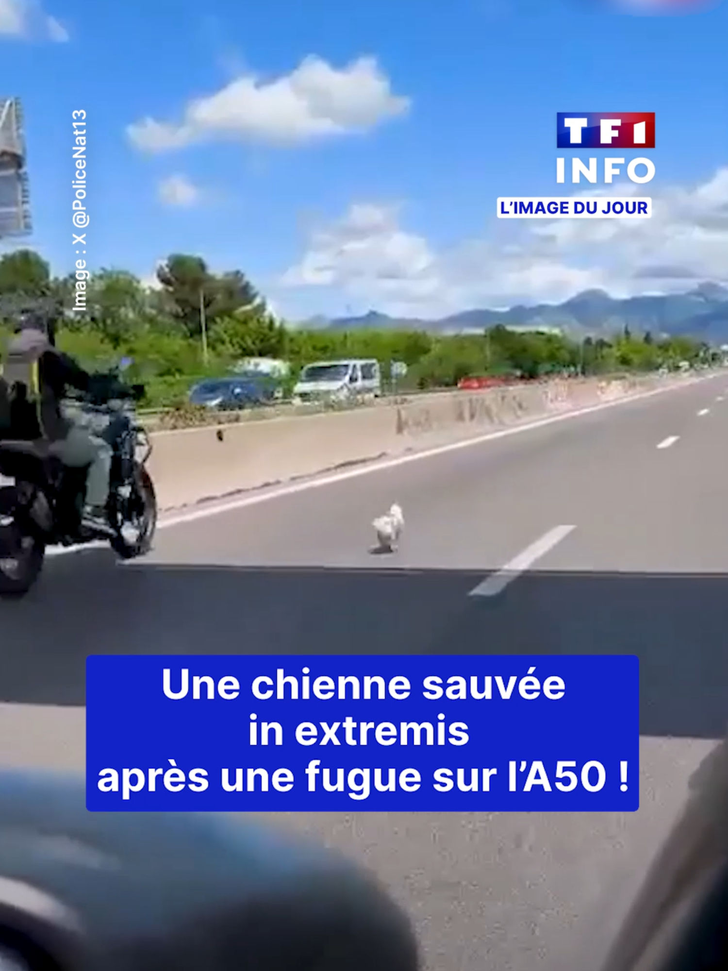 @TF1 INFO