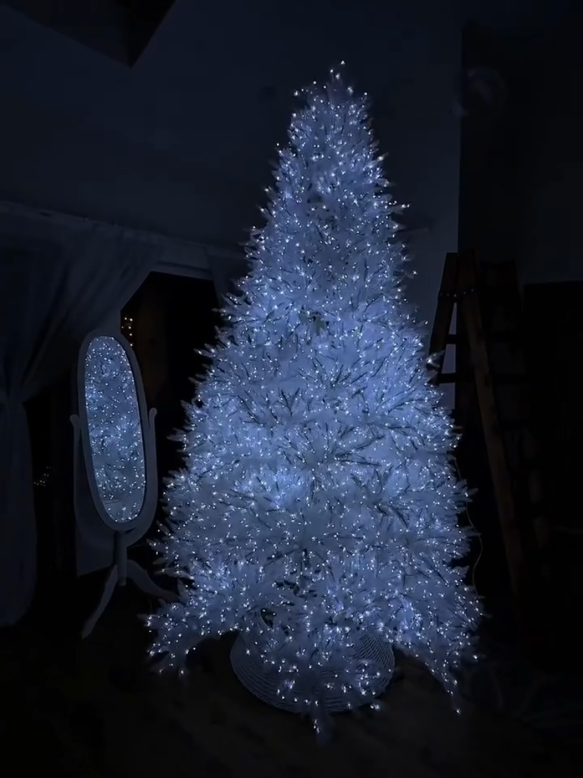 @Christmas 2026🎄🎅🏻☃️❄️✨⭐️