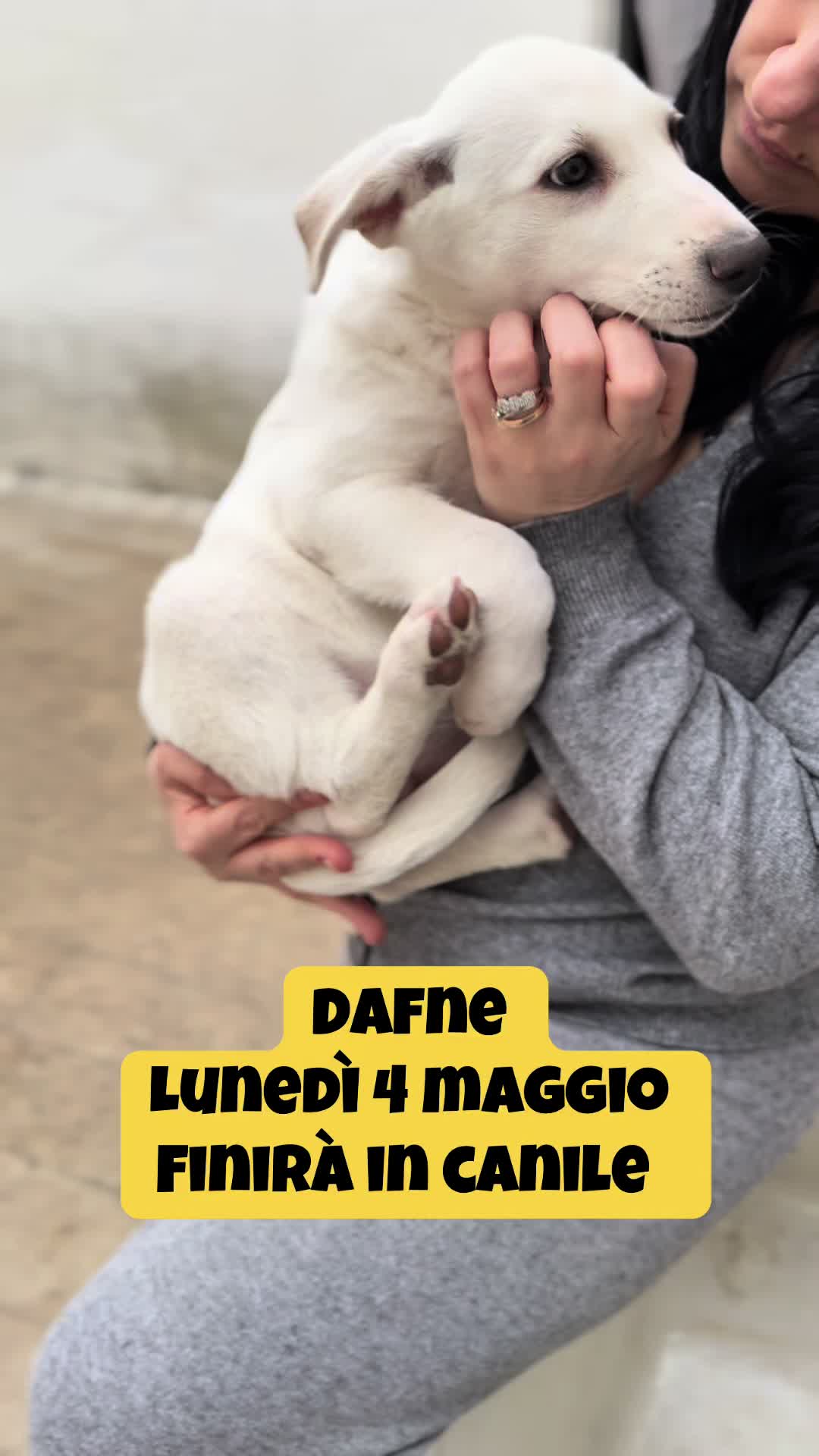 @Solo per amor loro 🐾🐾🐾🐾