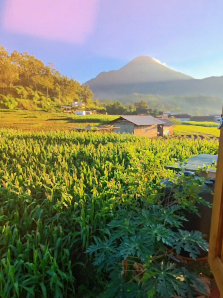@Slow living Trawas