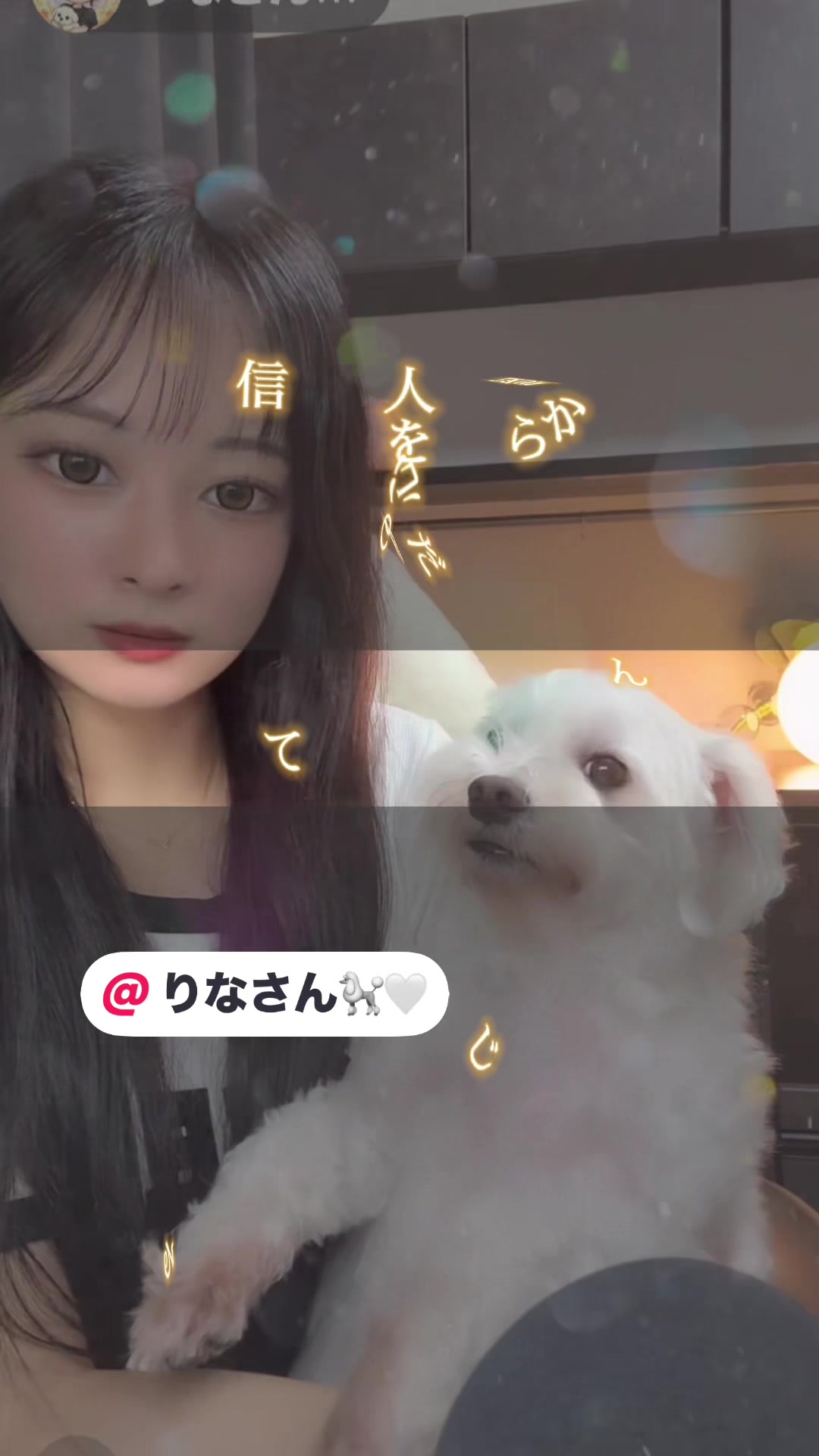 @🐩🤍⚽️🚙全身鏡𝐑𝐲𝐮🐰💎️🦔🍪
