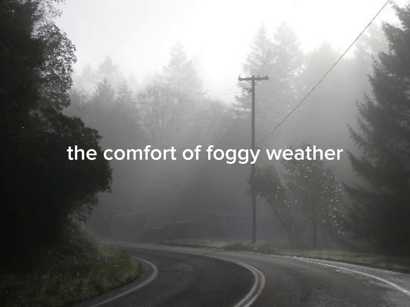 @feels🩶