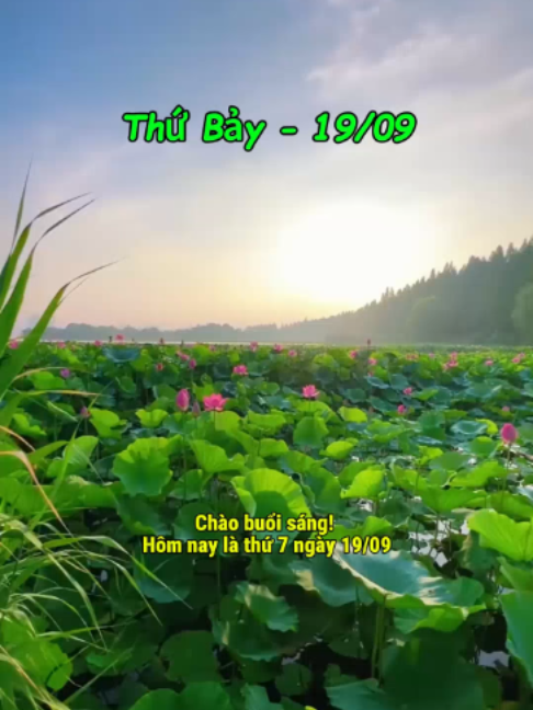 @Sống Chậm Lại