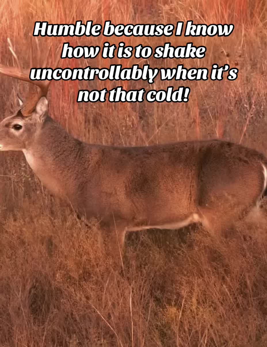 @🦌 Megabucks Outdoors 🦌