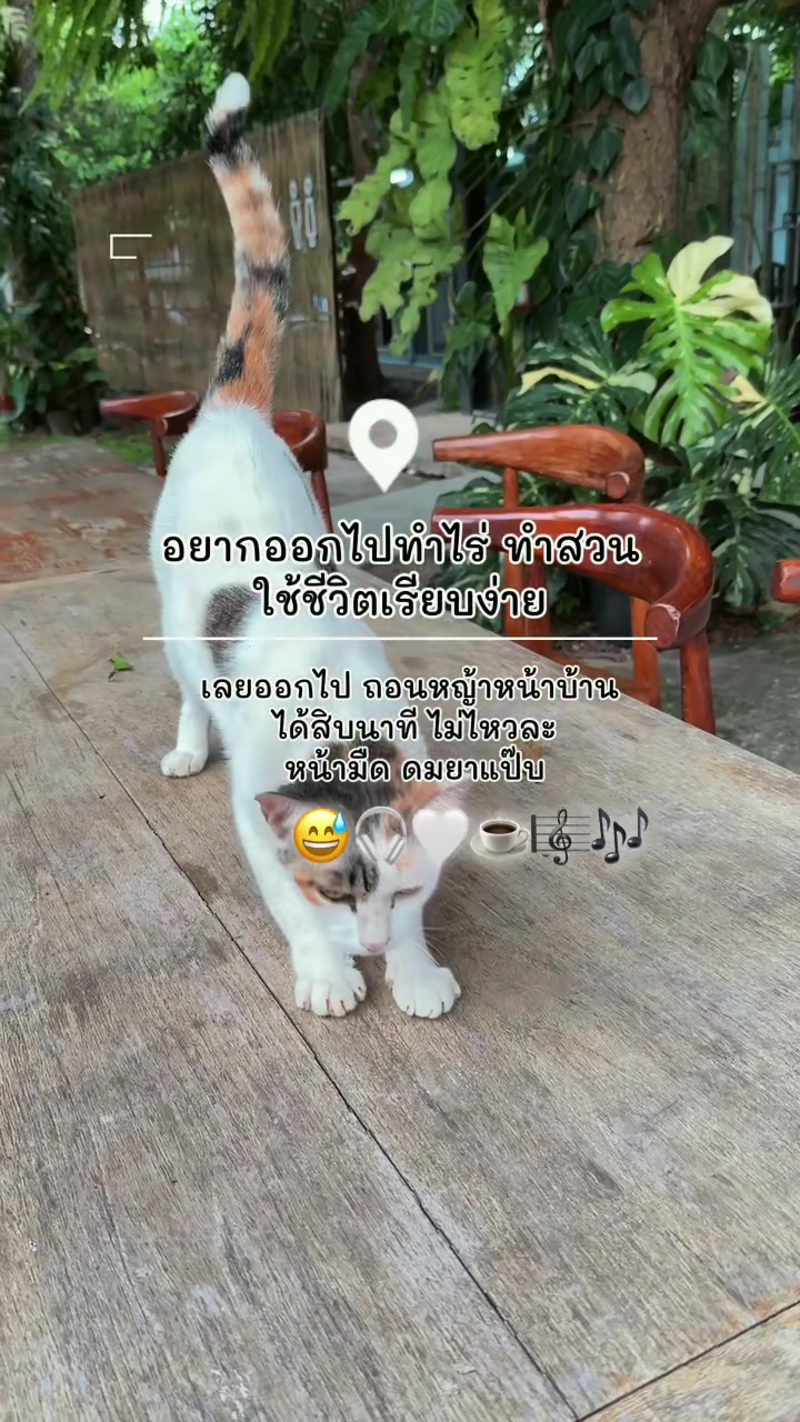 @🎧🍡Naphat🍡🤍🥳🎵🎶🎼