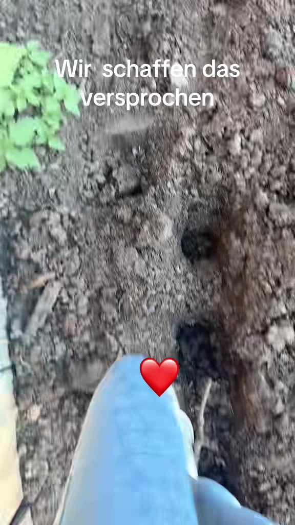 @HafiHorse2