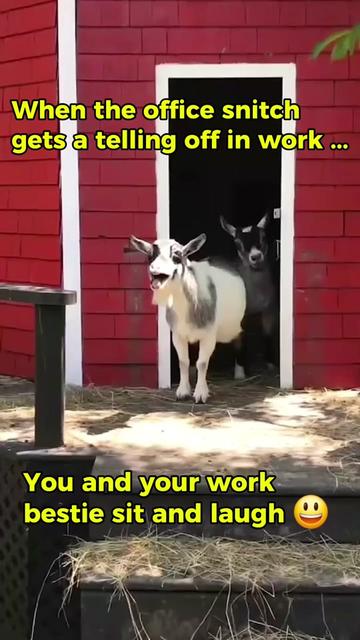 @Aisling