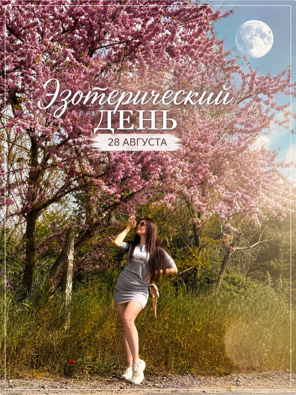 @Волшебница