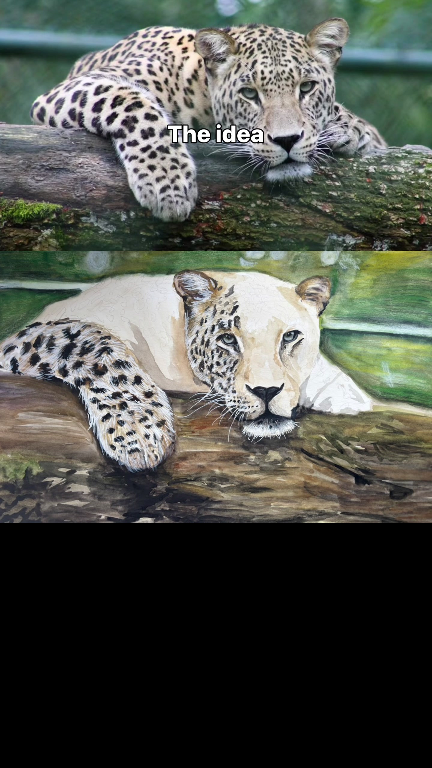 @Fins_fine_art