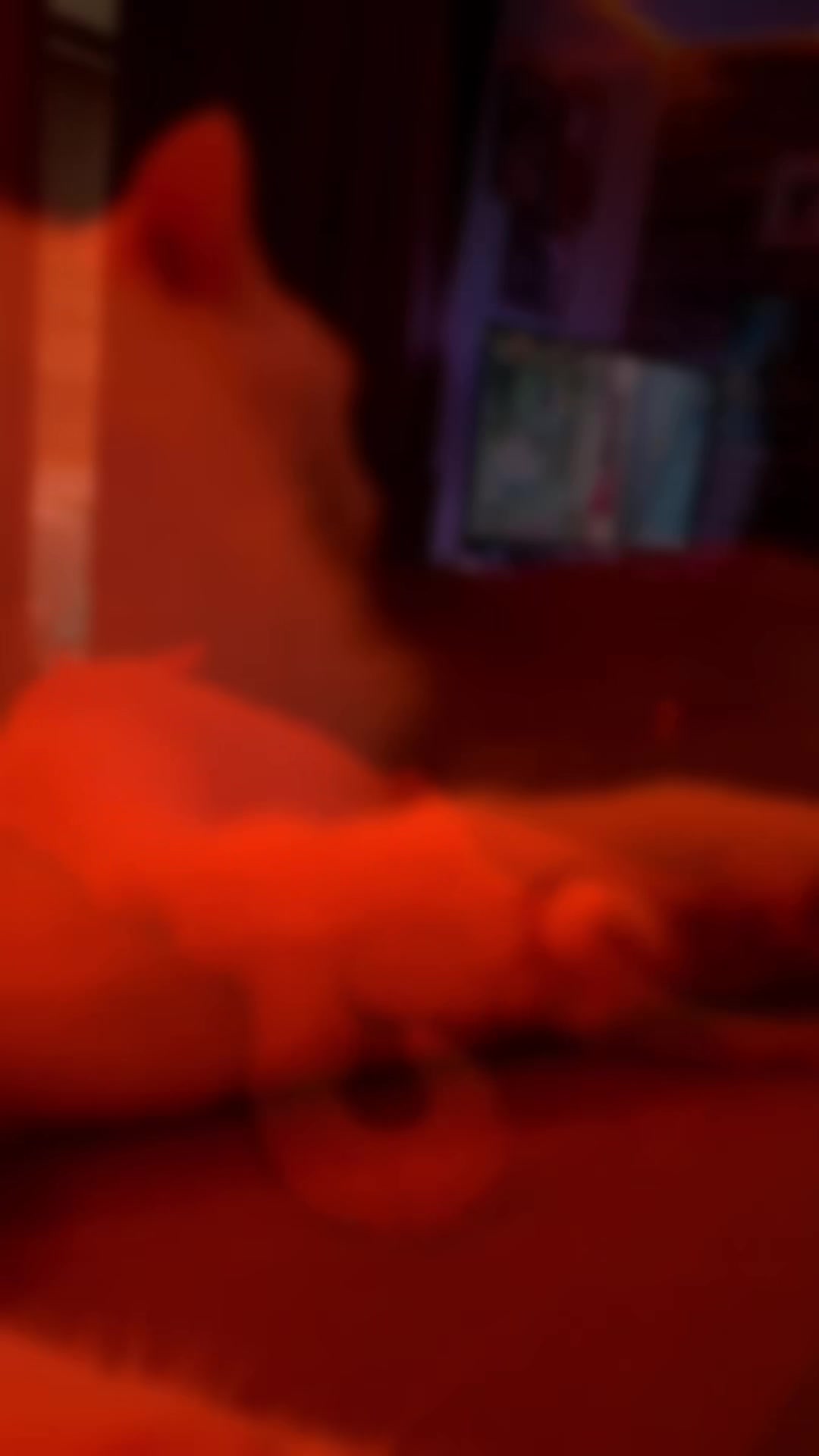 @MoonMission🌔💫