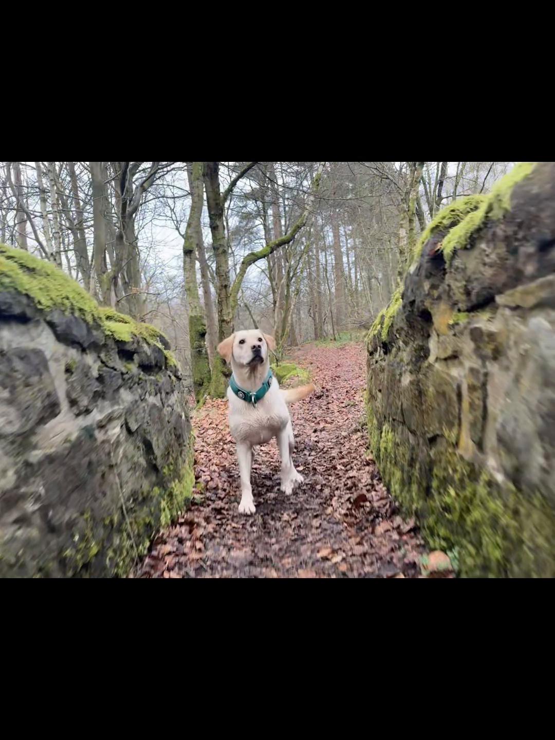 @Doozer_Sprocket_&_Fraggle