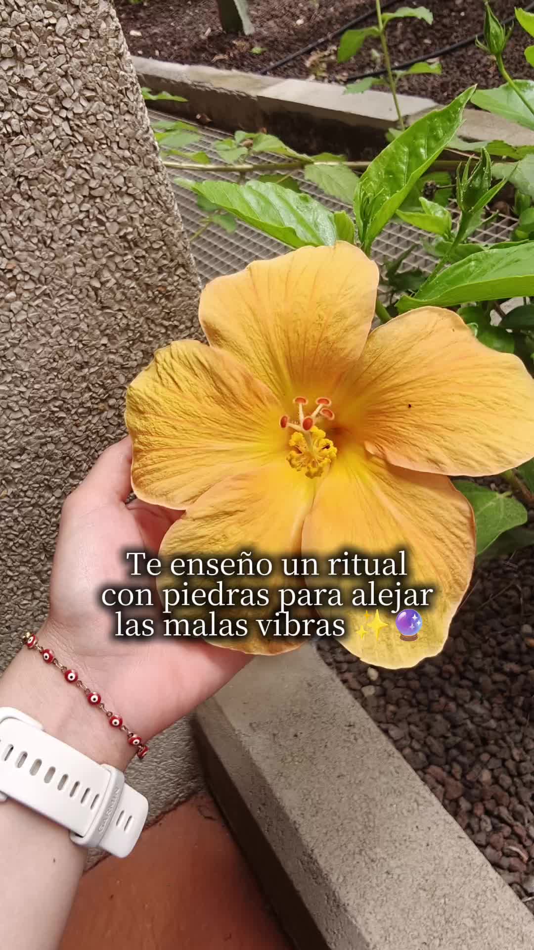 @Jas JD🦋
