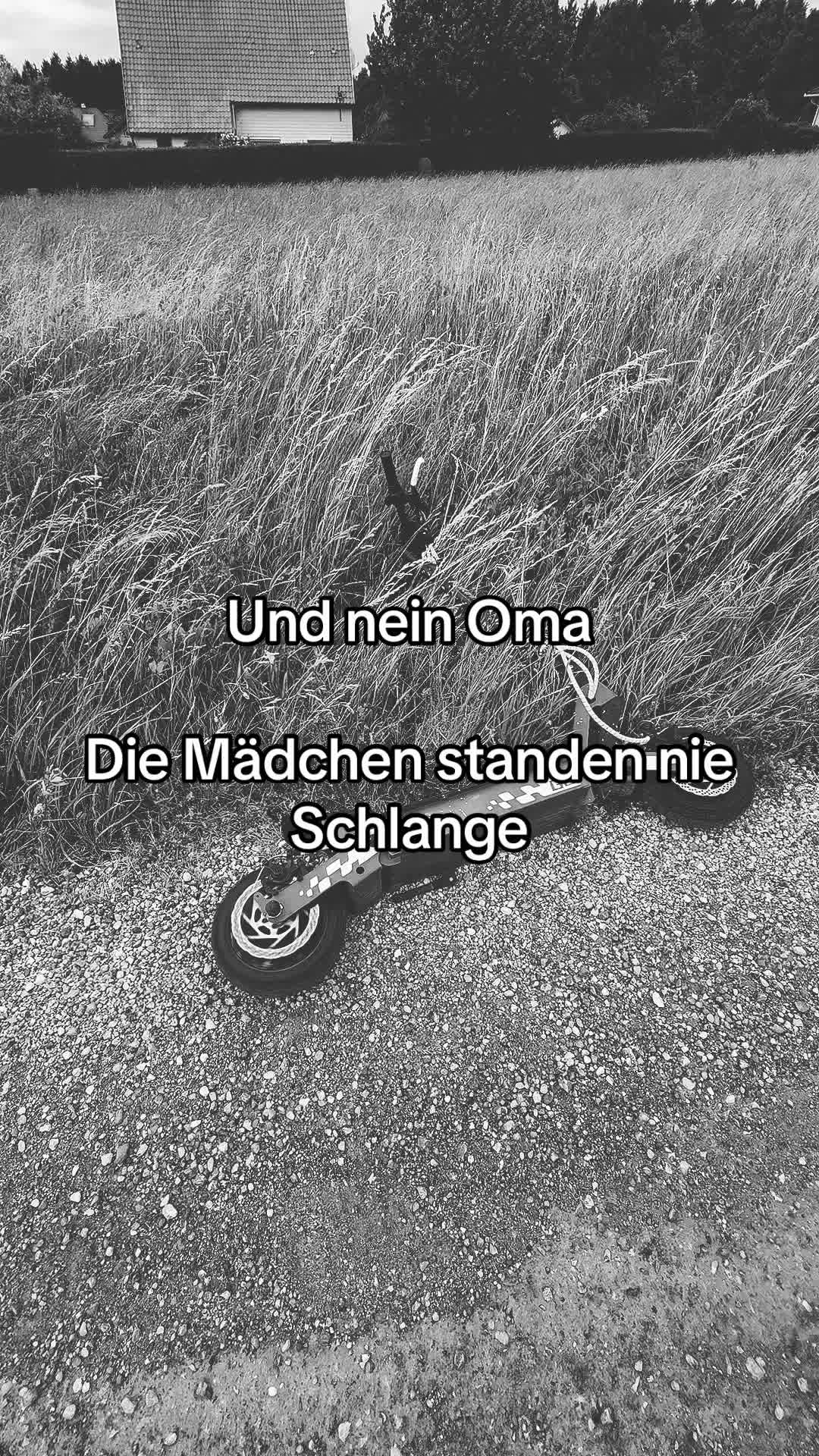 @foids.graper
