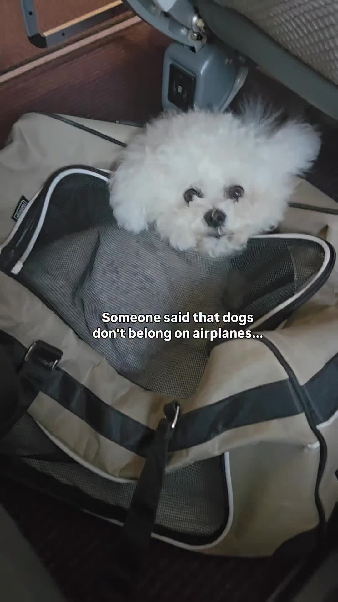 @Luna
