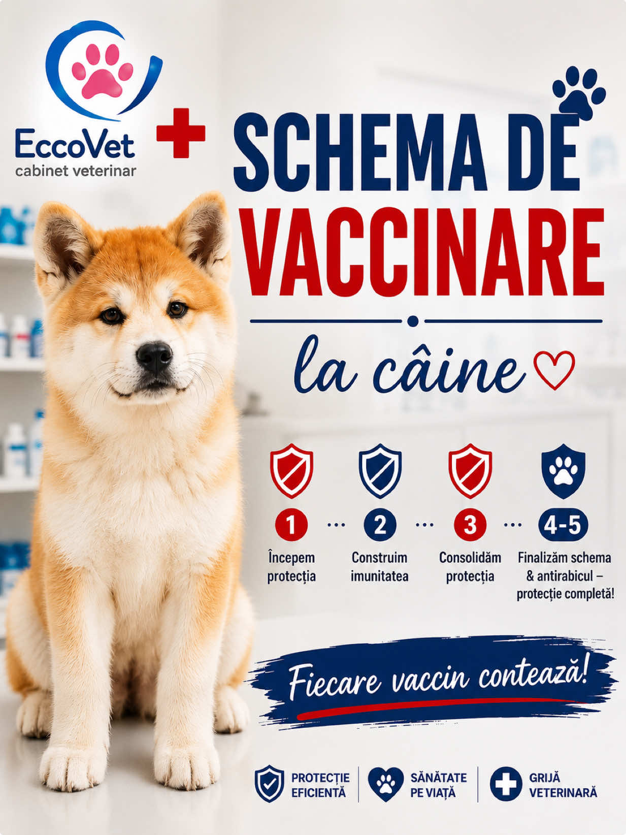 @Ecco-Vet by Dr. Diana Oprea