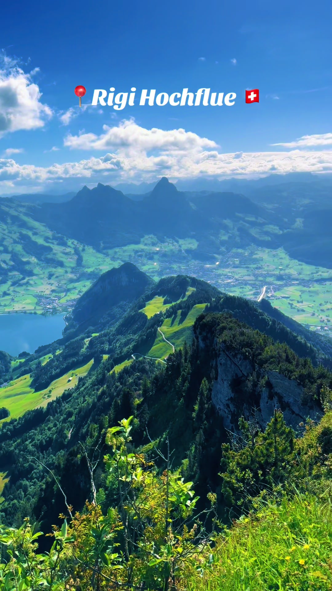 @swiss_alps