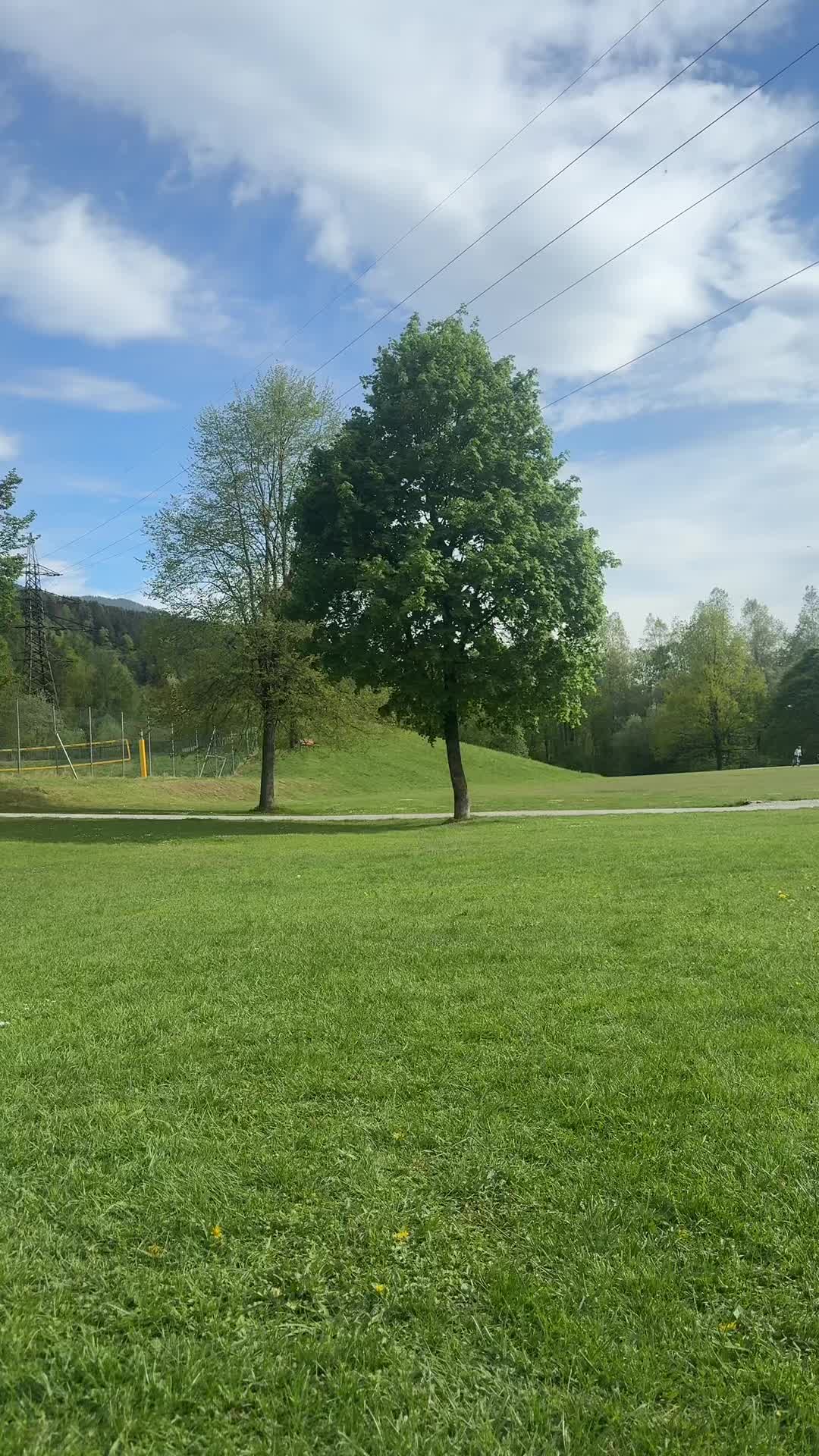@andoneta.r