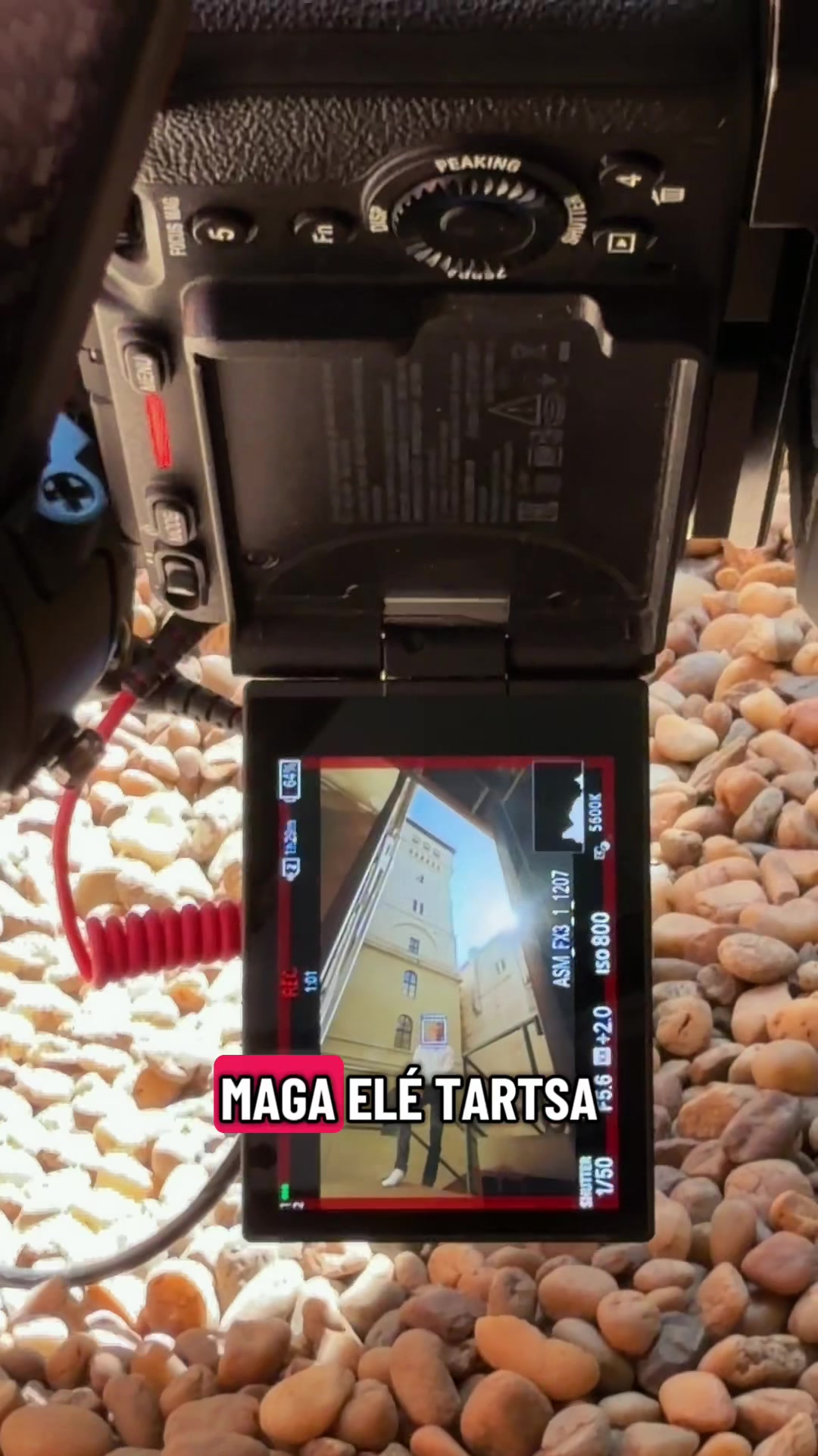 @TokodiGábor