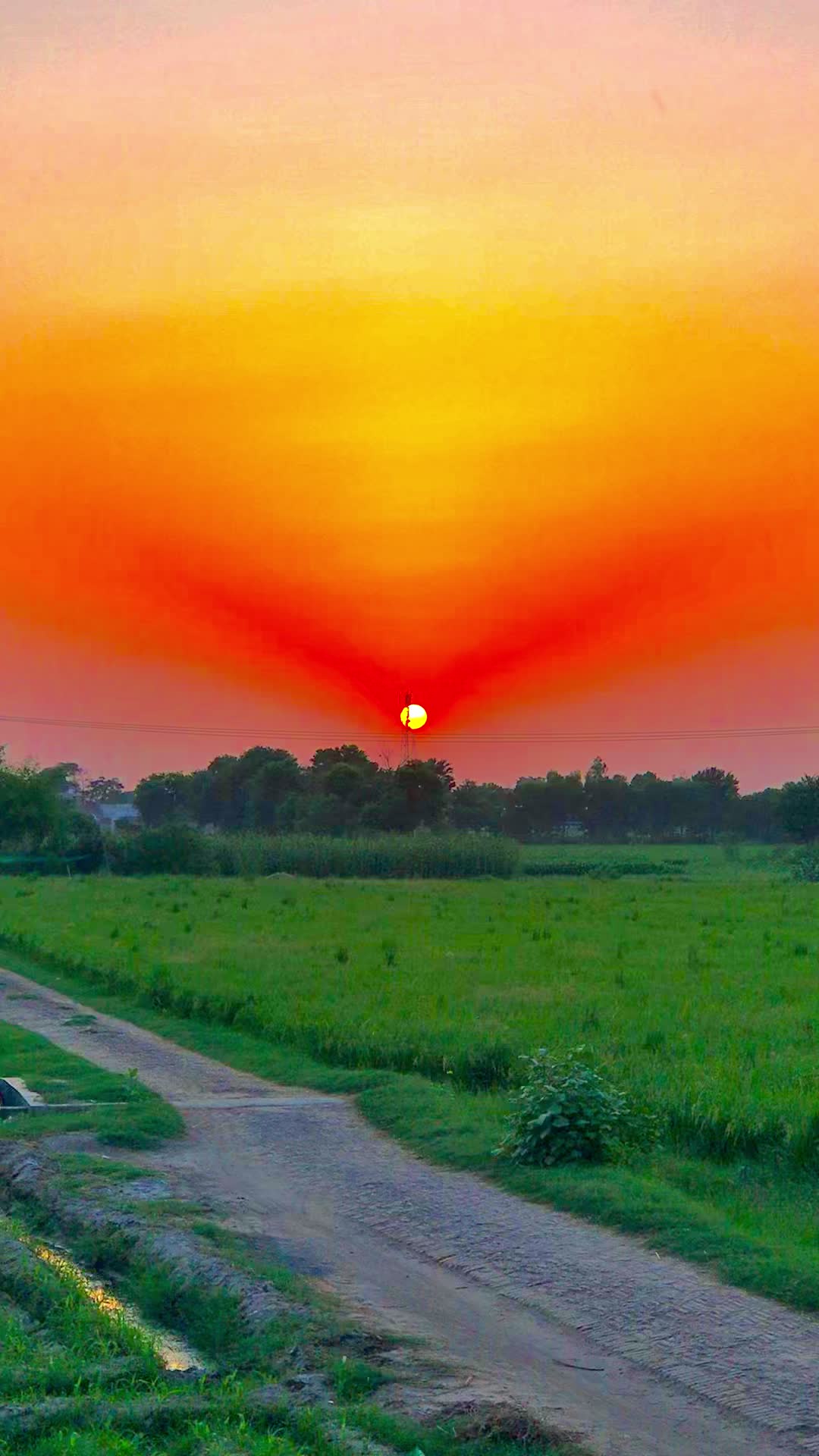 @پنجابی لڑکی🍃🌱💯