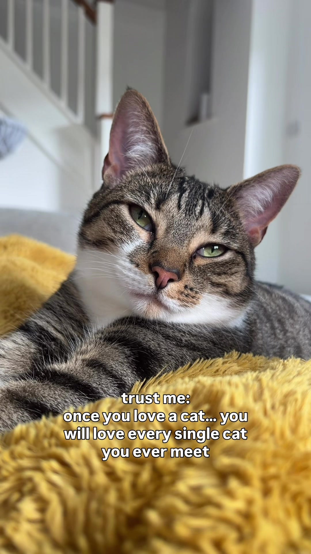 @lola_and_popps