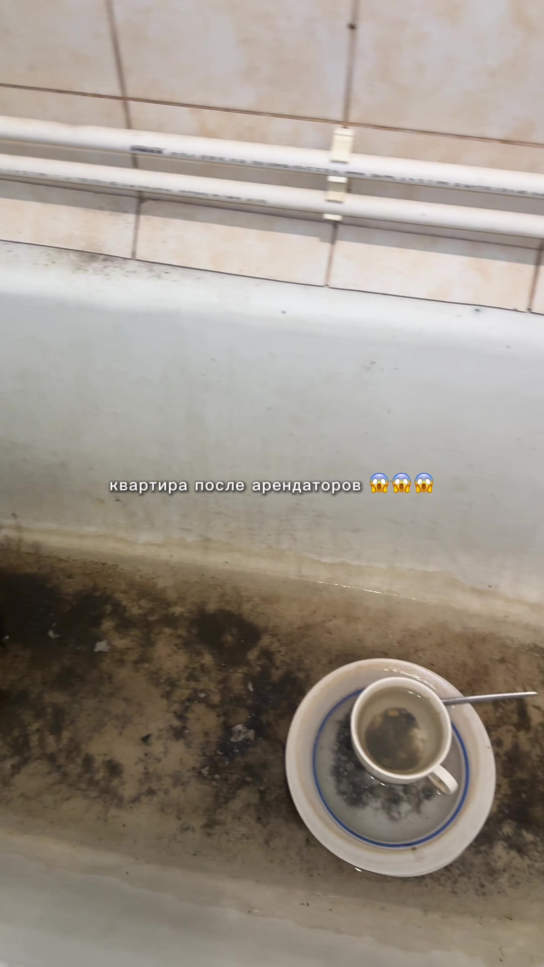 @Katusha_ASMR