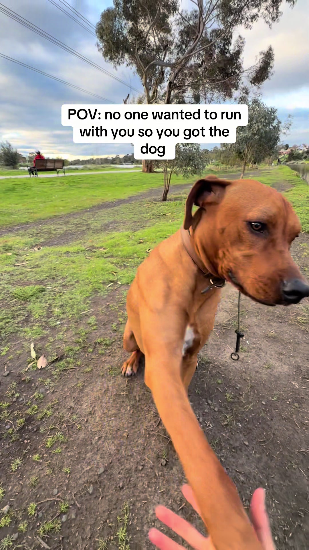 @runningwithrover