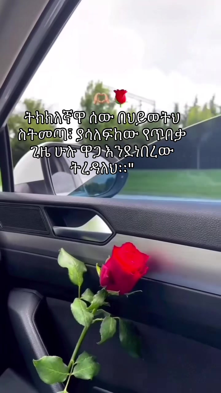 @Elyas Red