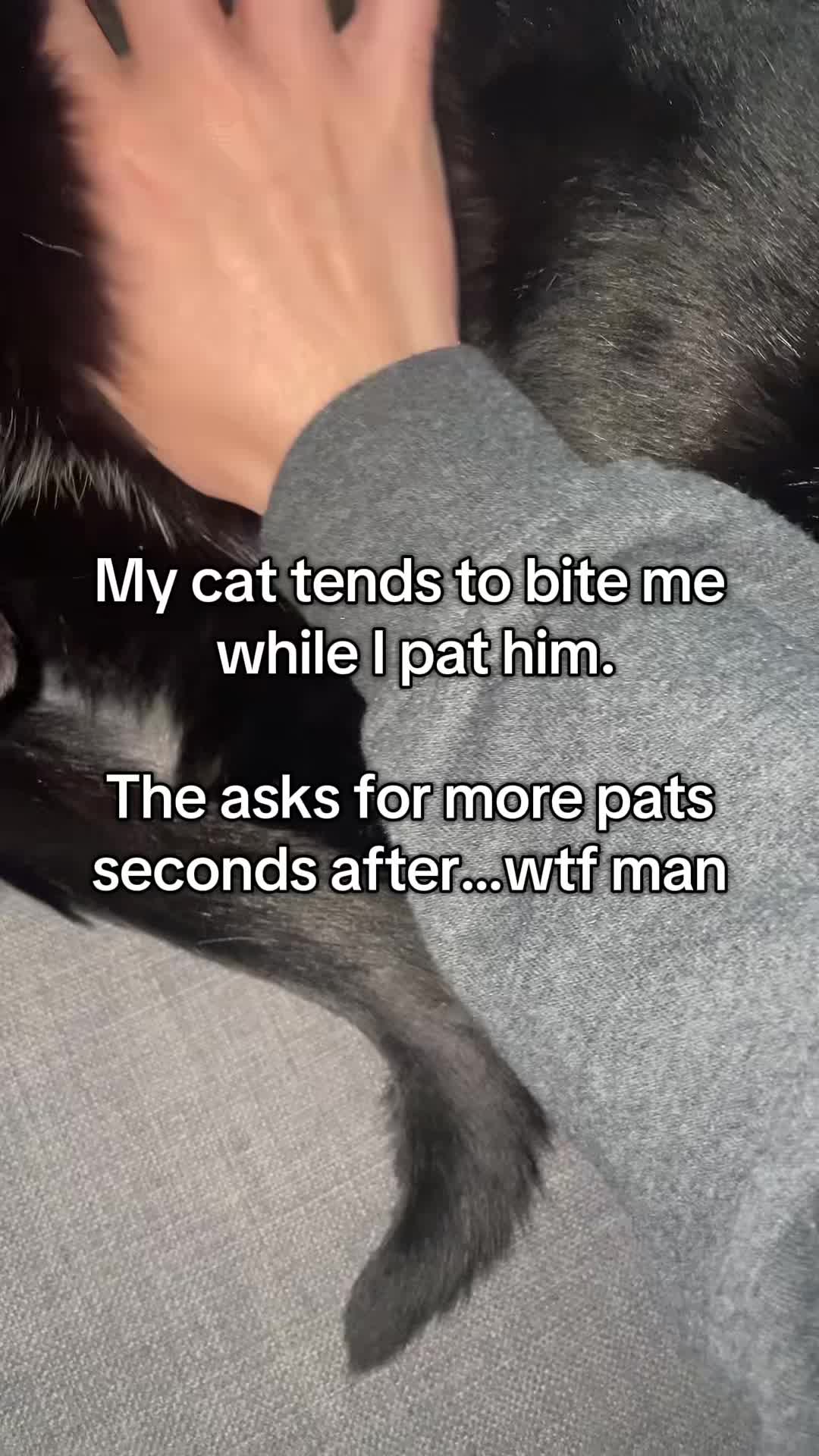 @Ollie_olive