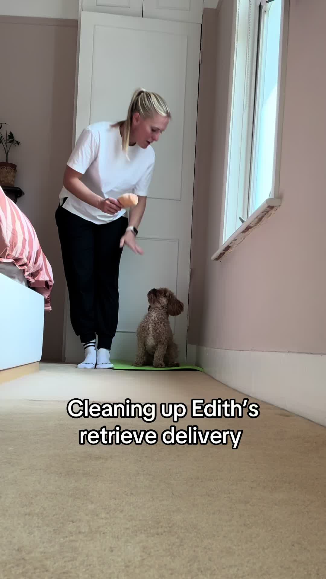 @MilneandMutt