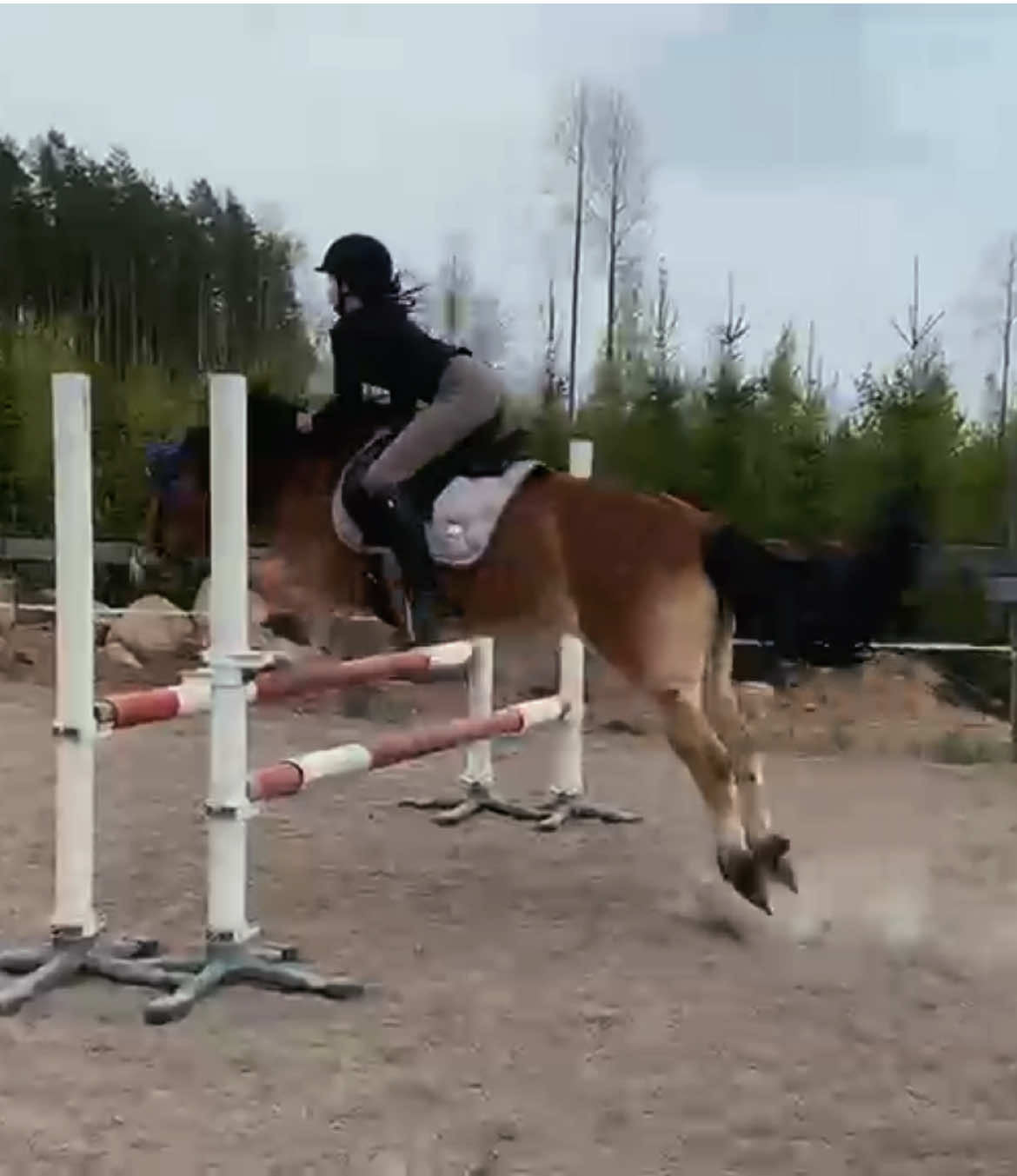 @Ponirannan talli🇫🇮🐎