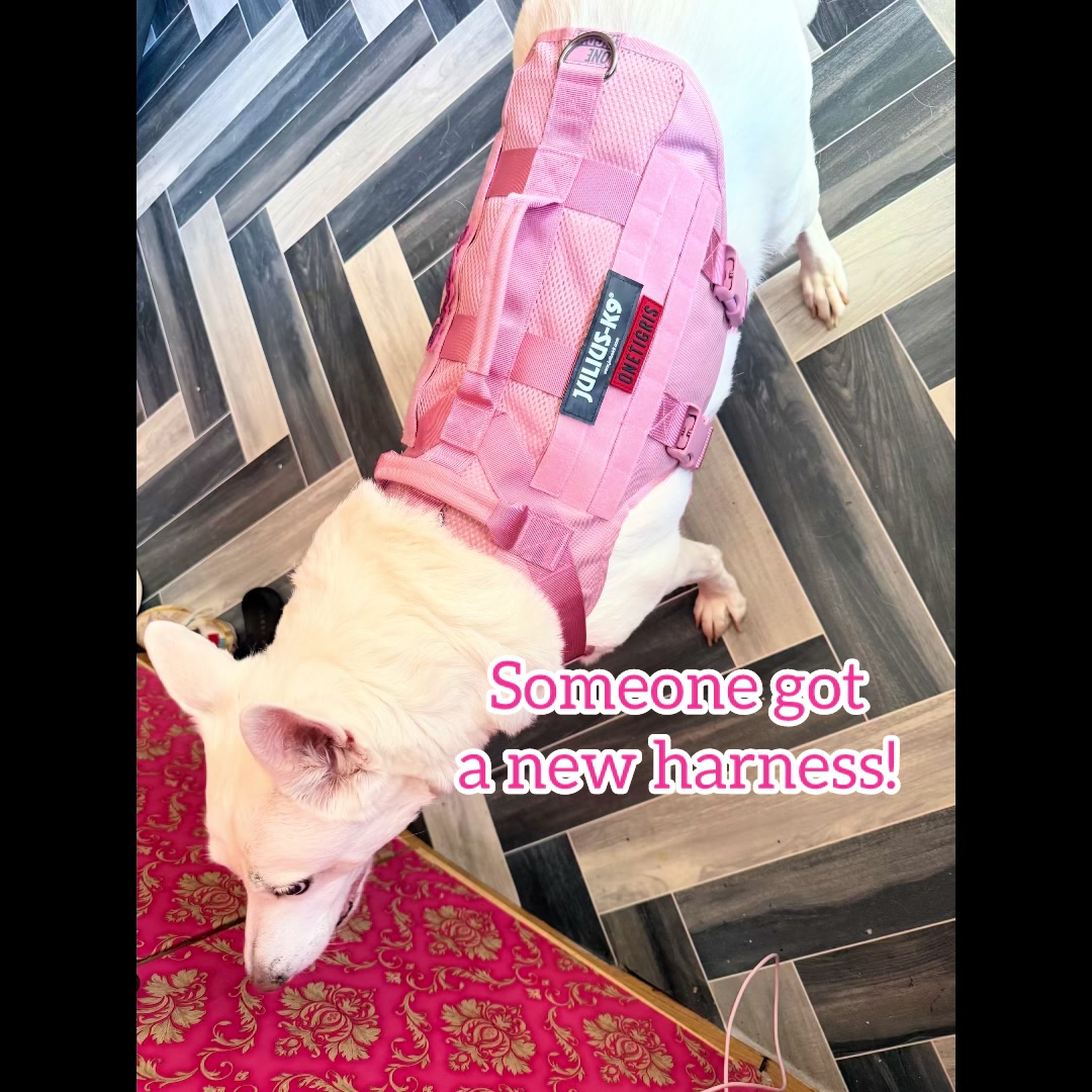 @quaintmj