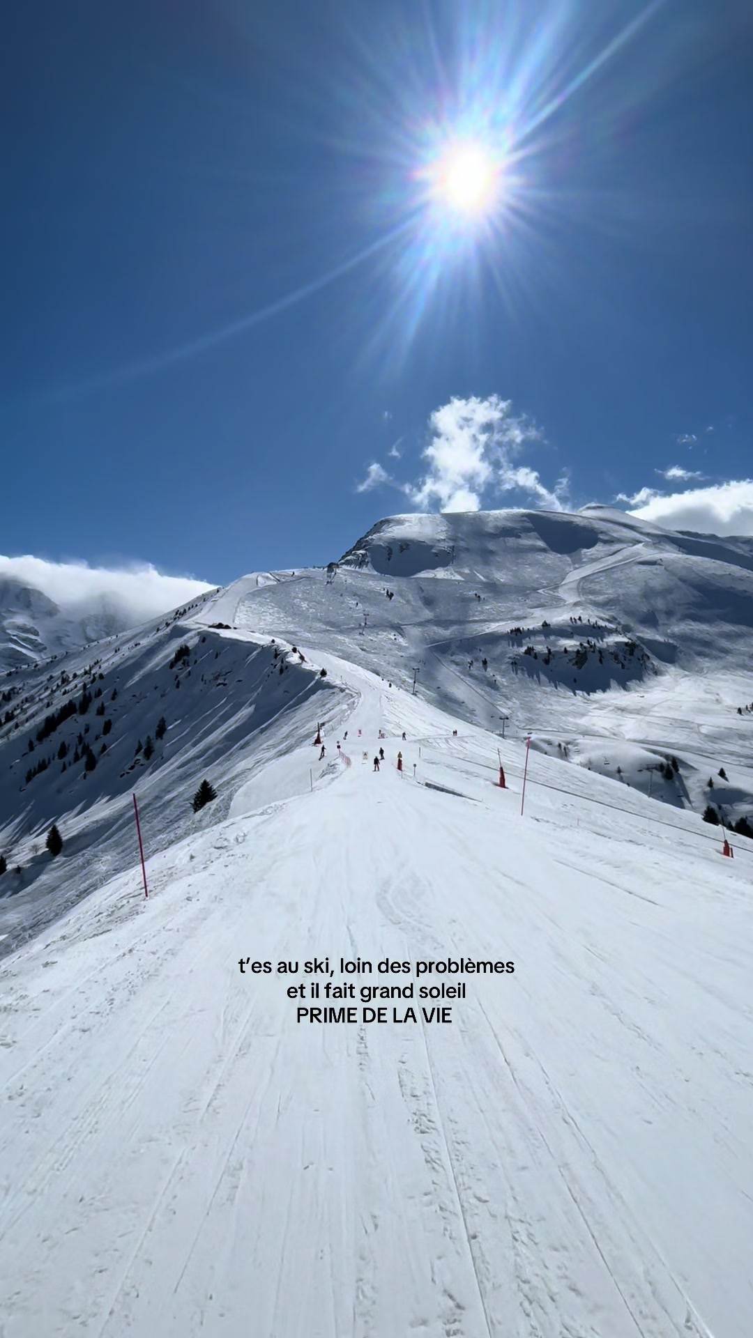 @lorette
