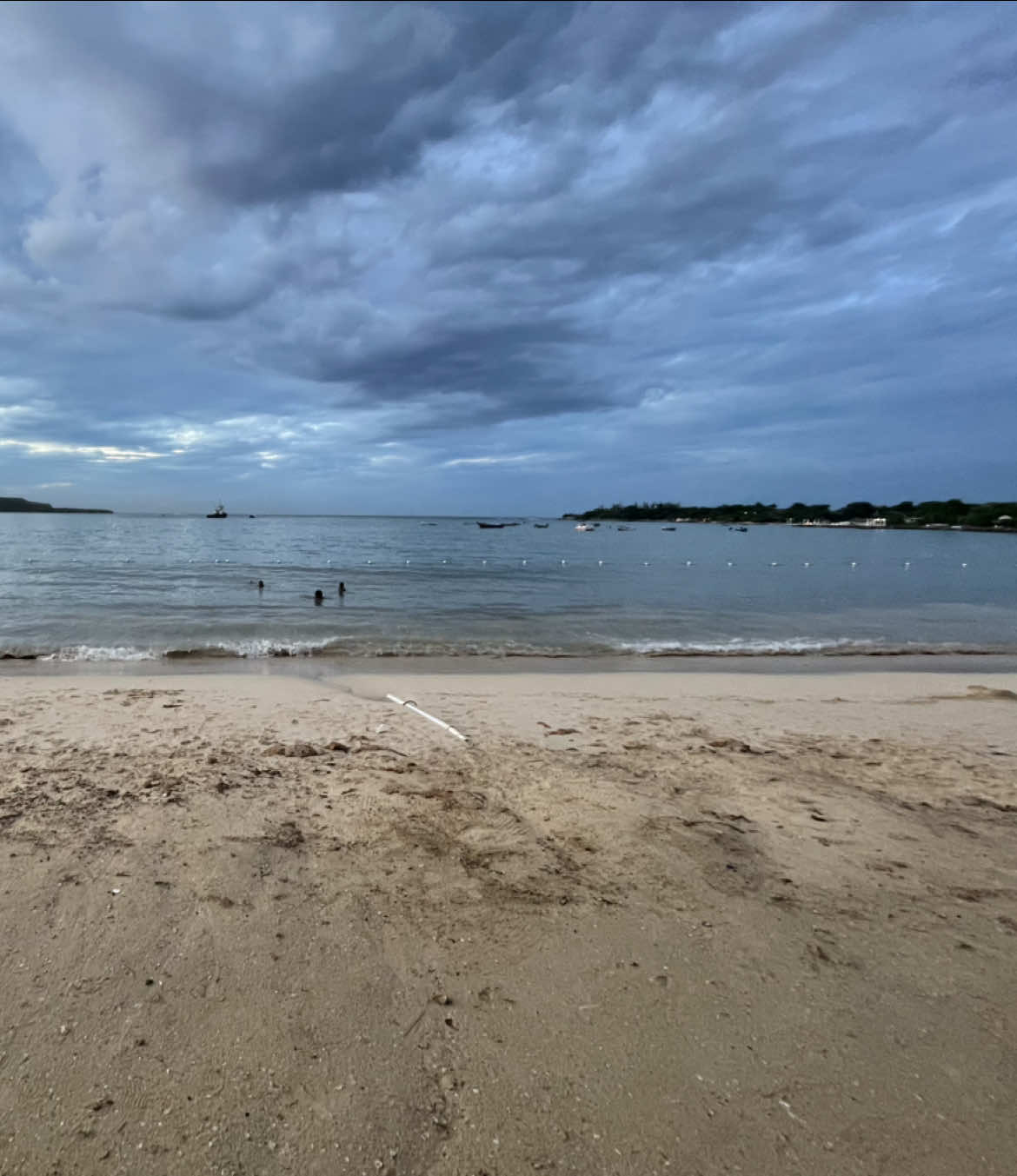 @Quadier🇯🇲