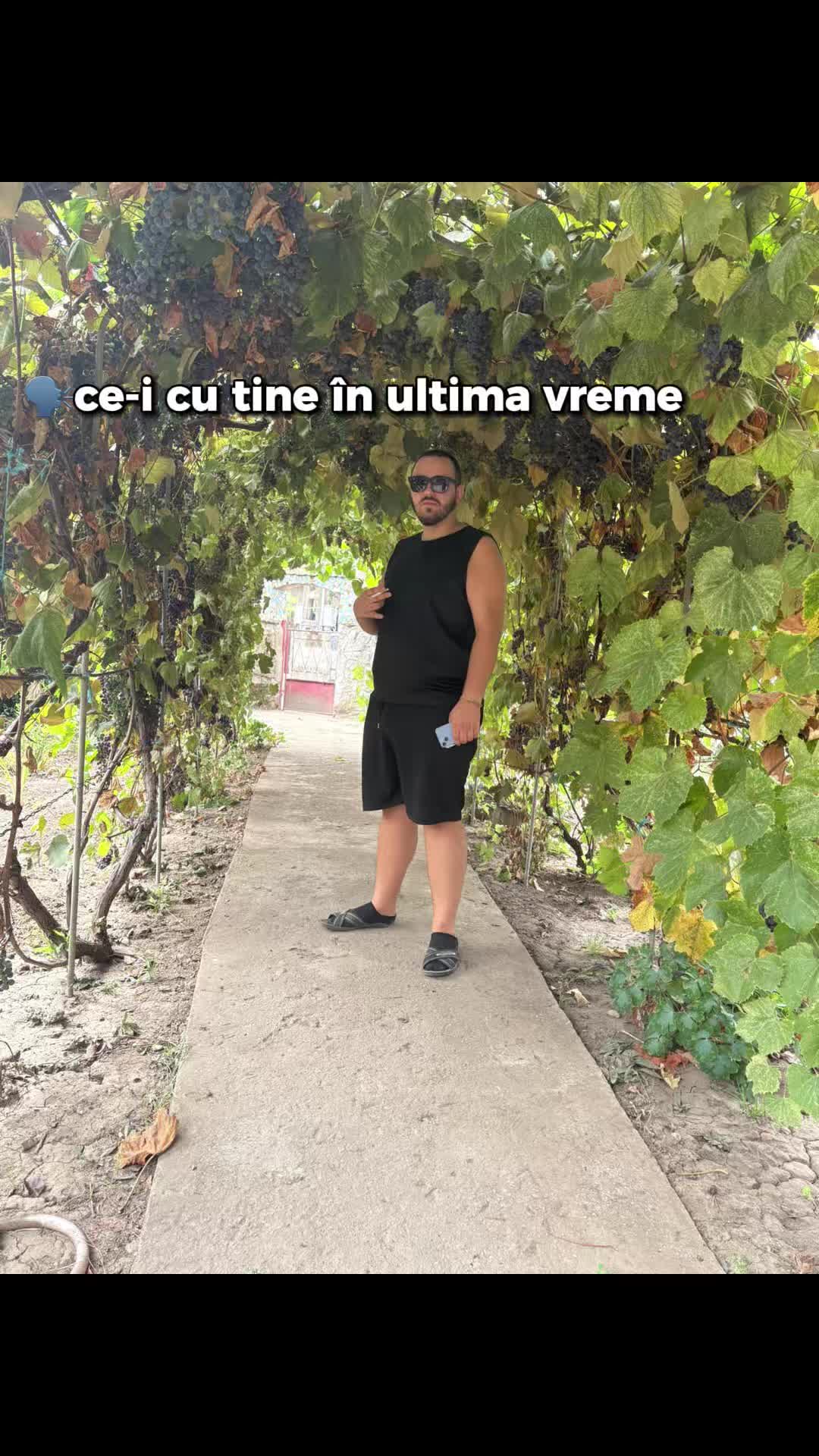 @renaldo