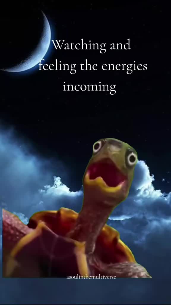 @A Soul in the Multiverse