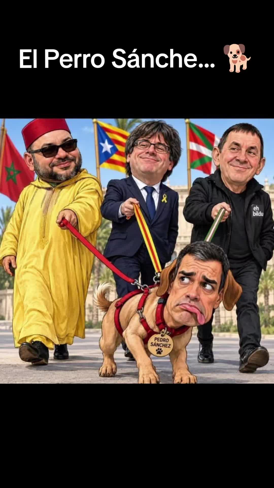 @Salfuman0