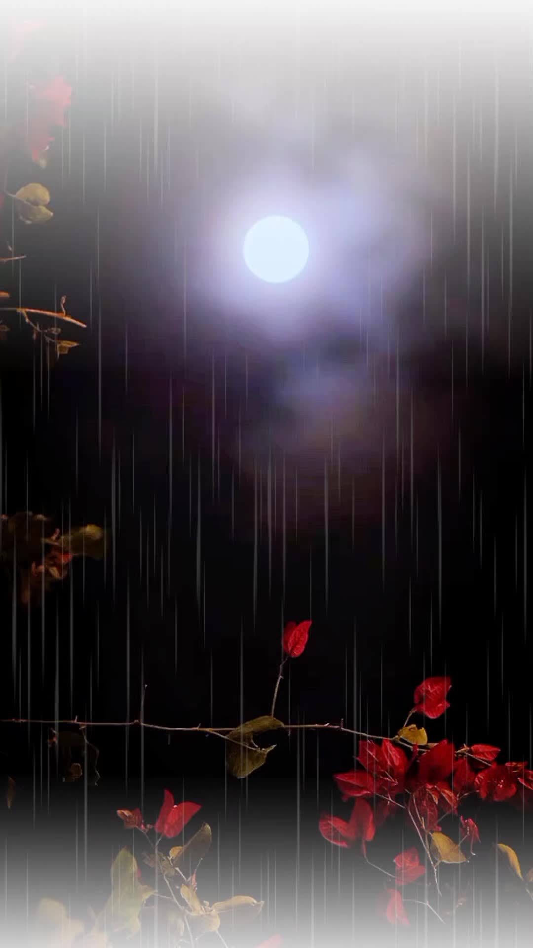 @💫Mr.Ali 💫 SST 💫