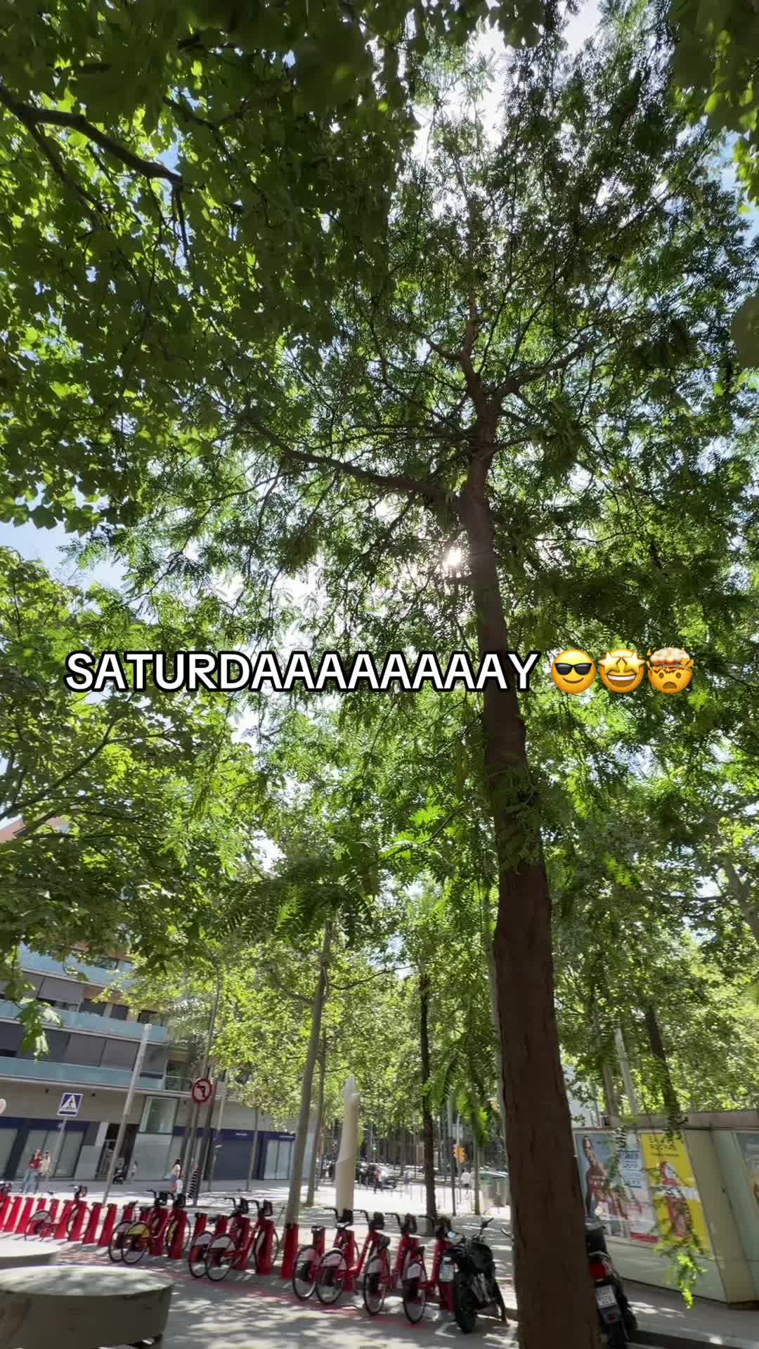@esportissim