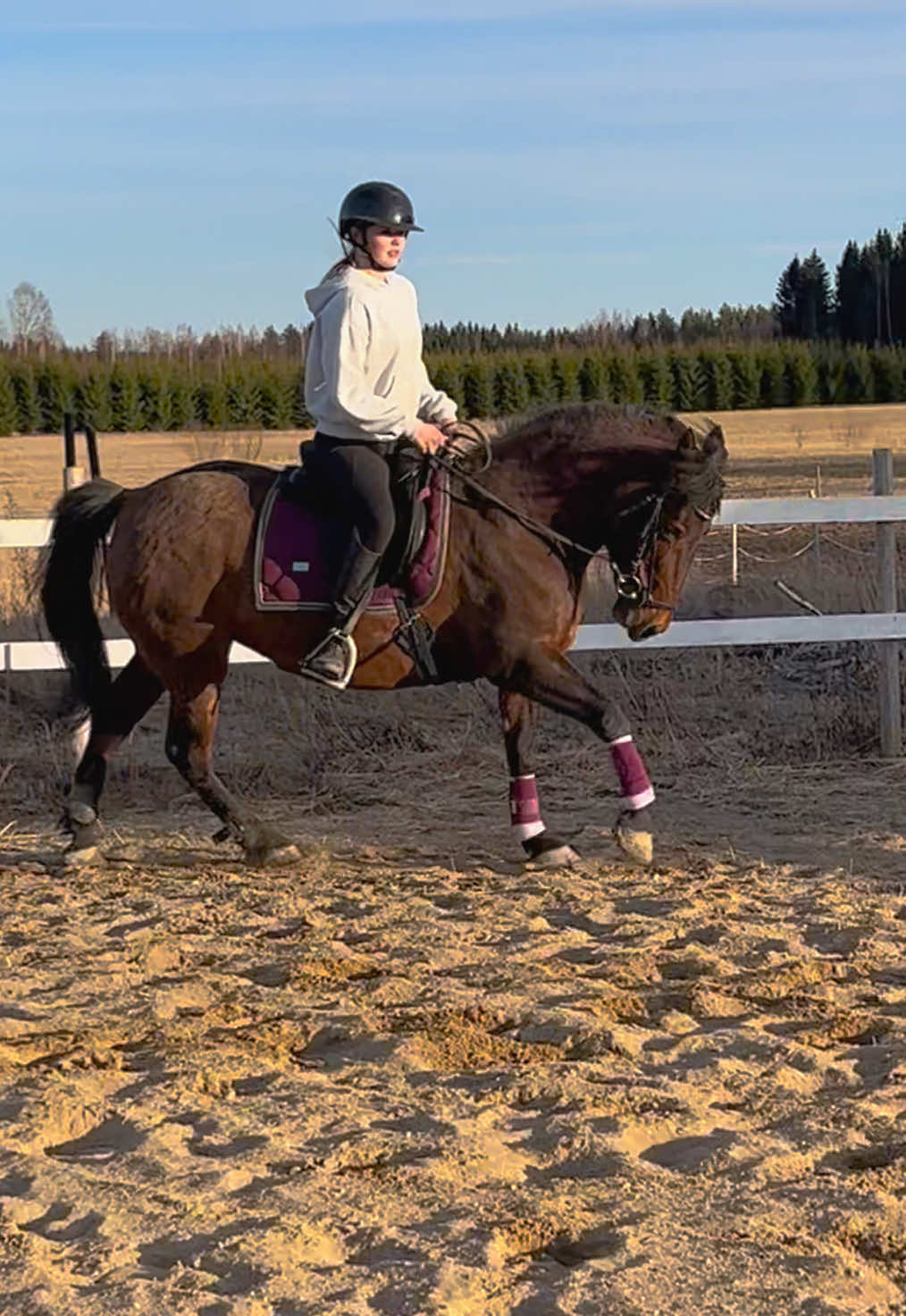 @Equestrian Veera🏇