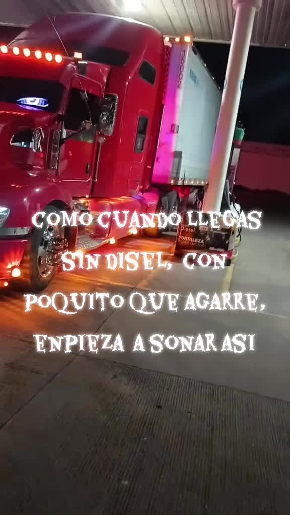 @el bellos 318