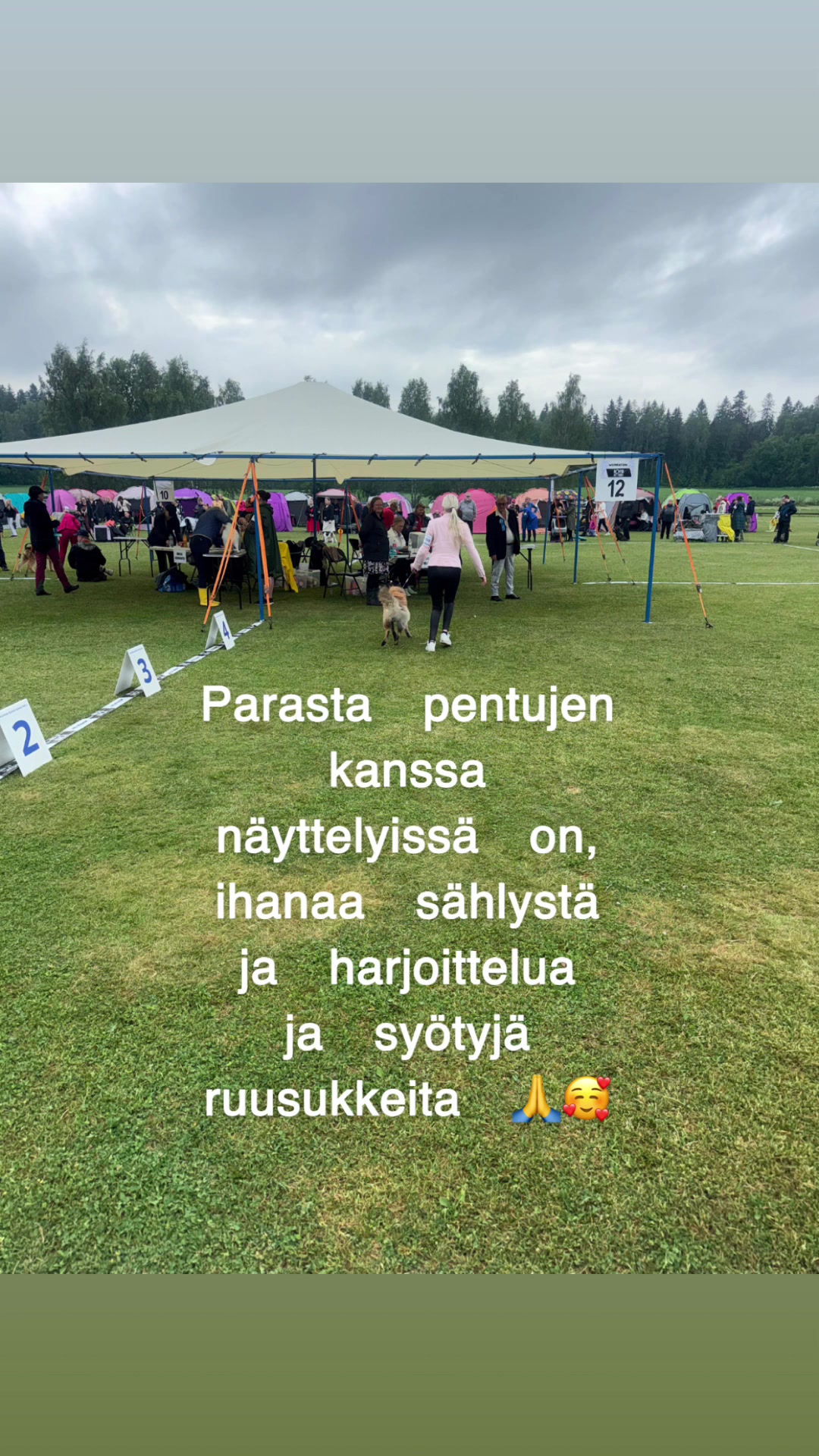@mirjasmiina