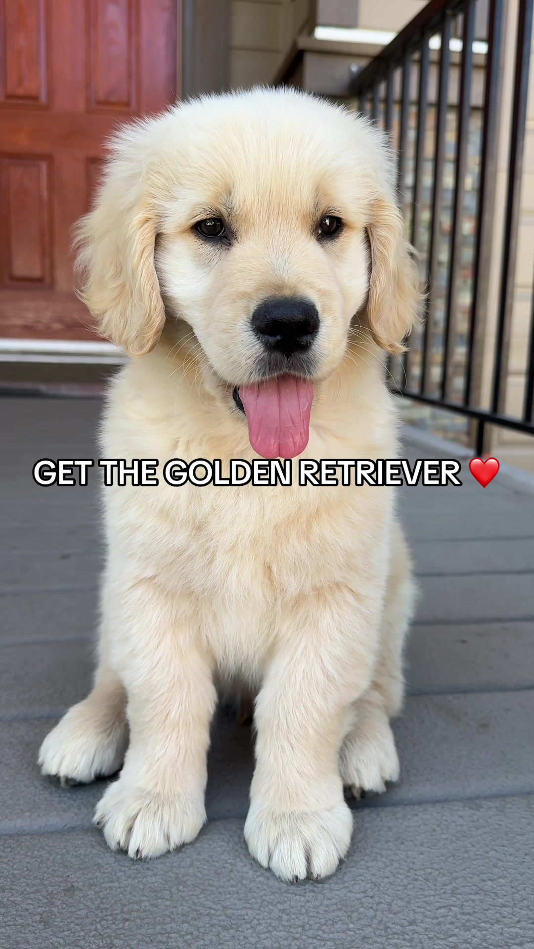 @A Golden and Fam