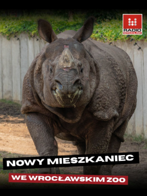 @Radio z Dolnego Śląska